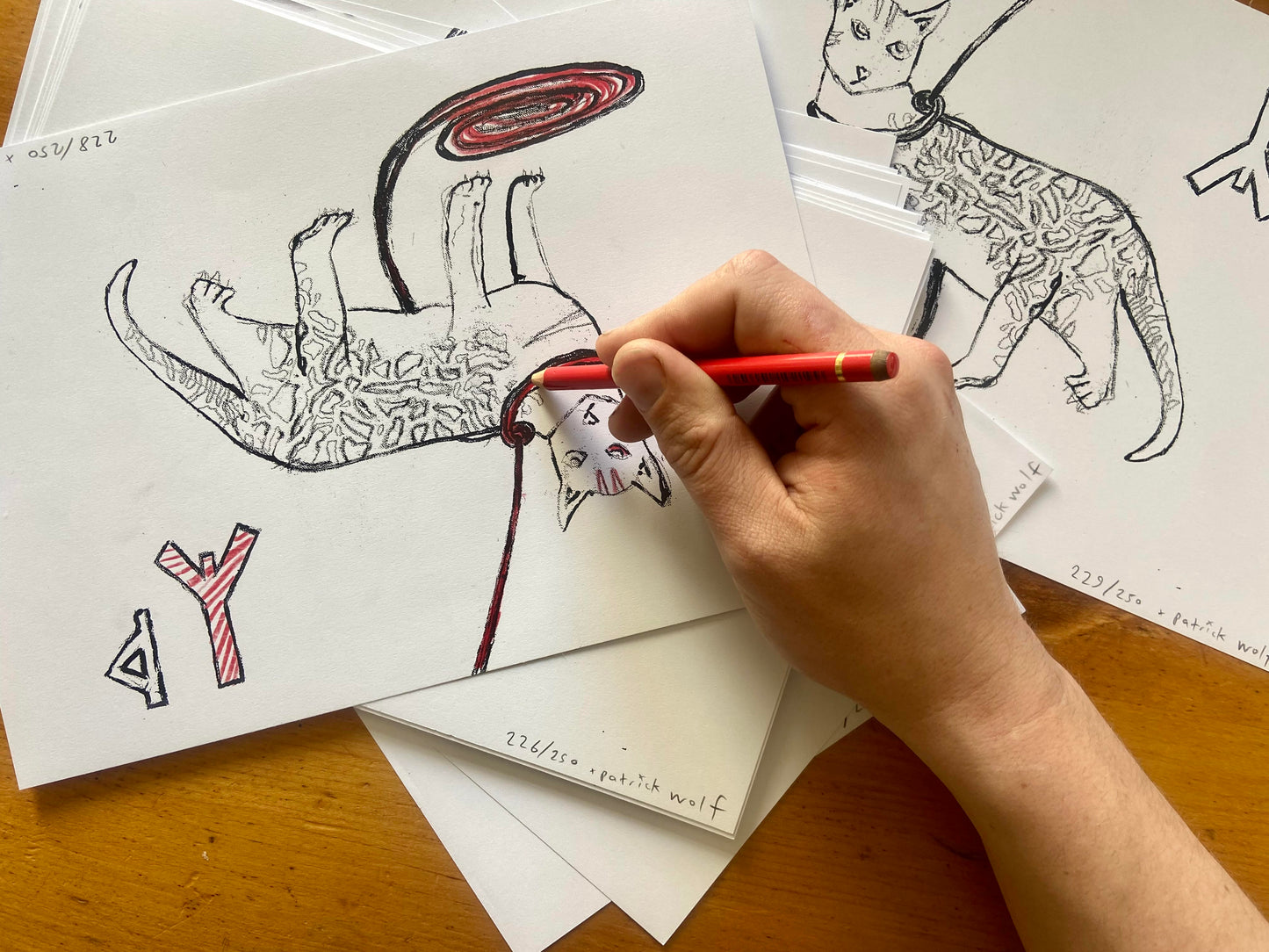 THE NIGHT SAFARI | HAND SIGNED, NUMBERED & DETAILED LIMITED PRINT BUNDLE